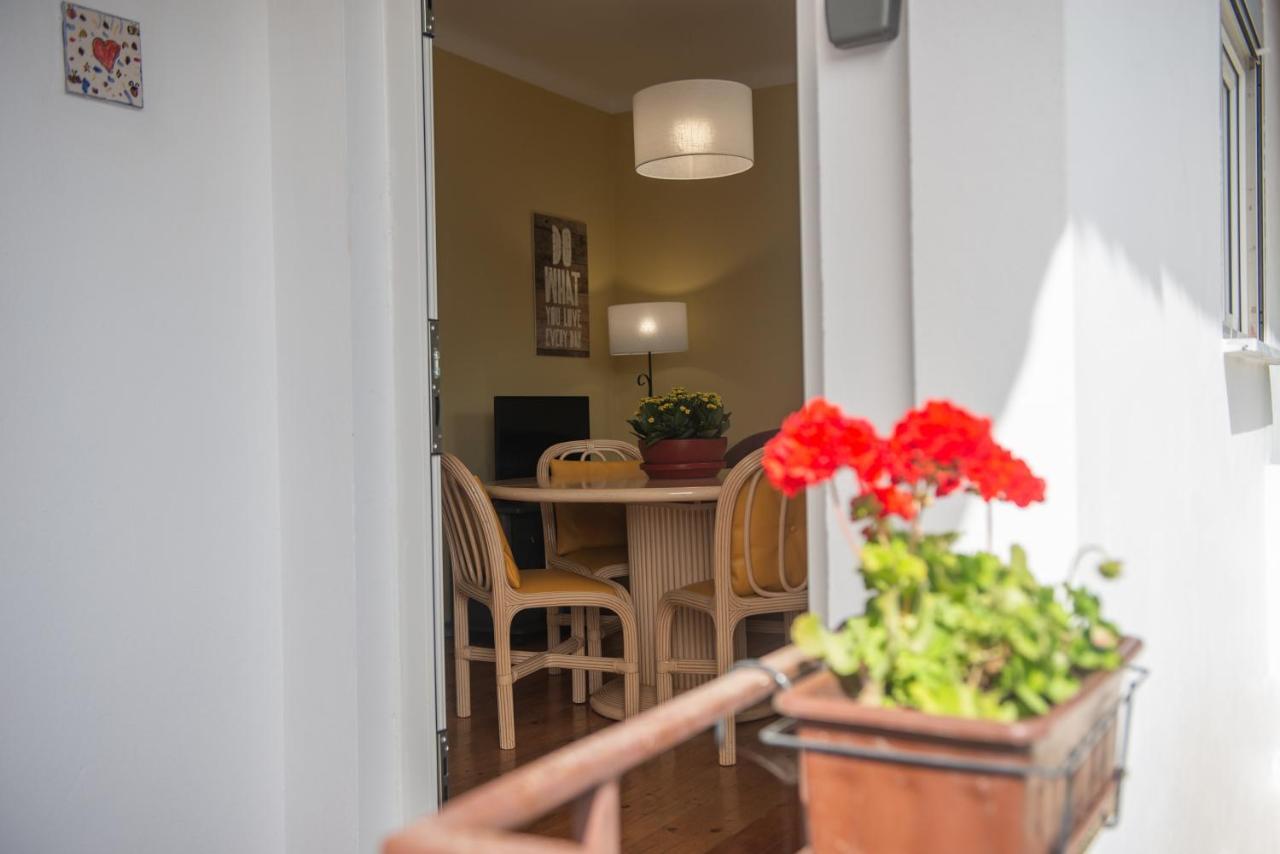 Casa Do Carvalhal - Natureza No Centro Da Cidade Guest House ซังตามาเรีย ดา เฟย์รา ภายนอก รูปภาพ